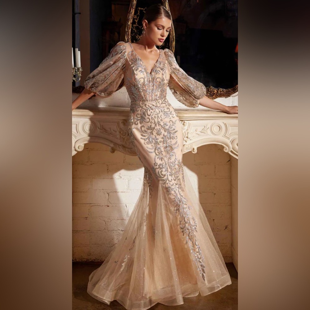 Brown and Gold V-Neck Gown with Bishop Sleeves